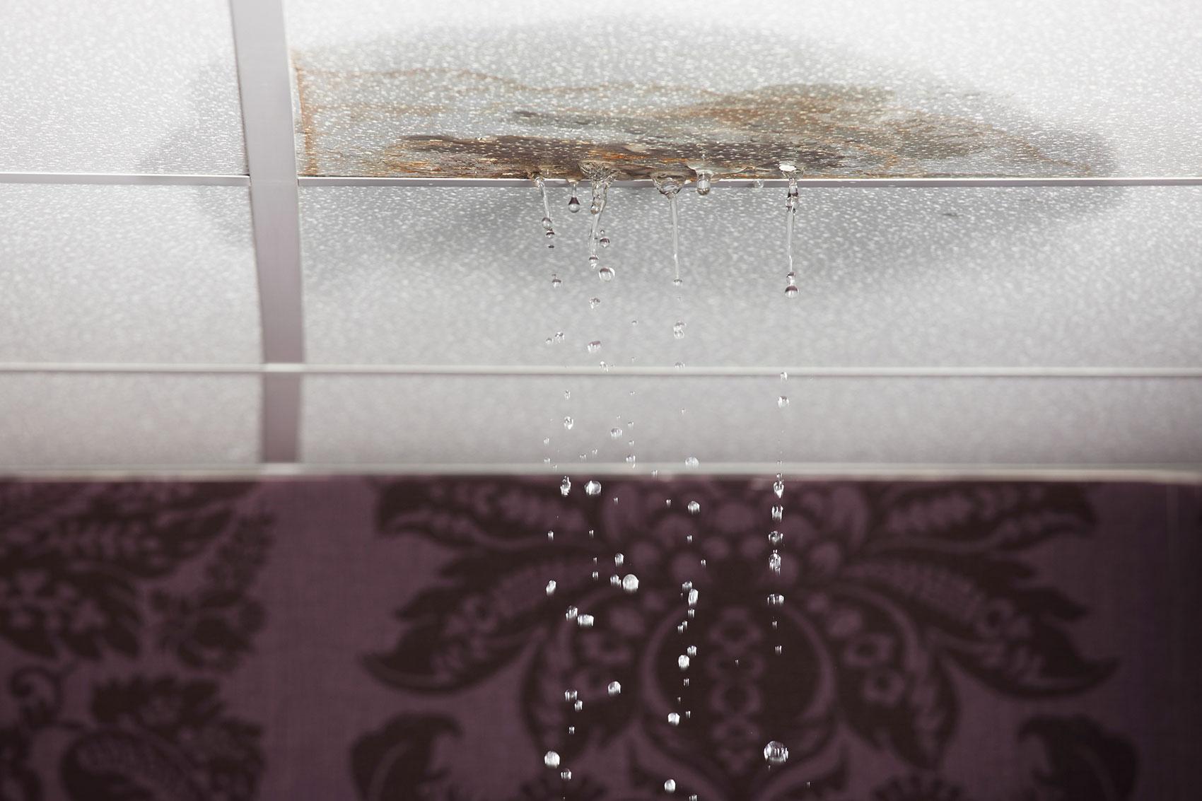 Don’t let burst pipes cause extensive damage to your home. Learn how to quickly handle a burst pipe.
