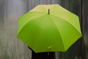top view of person holding a green umbrella