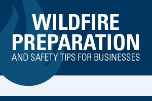 Preview image of wildfire preparation and safety tips for businesses