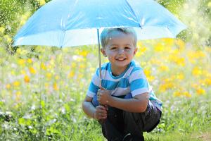 little boy with blue umbrella in field of flowers
