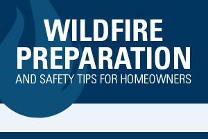 Preview image of wildfire preparation and safety tips for homeowners