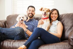 Smiling couple posing with two dogs on a couch.